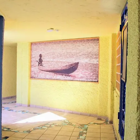 Bougainvillea Bamira